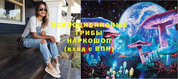 дживик Лагань