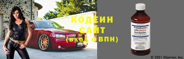 дживик Лагань