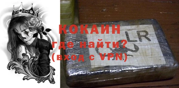 дживик Лагань