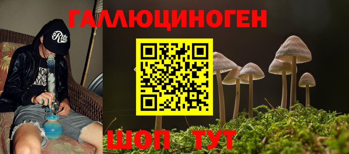 Псилоцибиновые грибы мухоморы Нижний Новгород