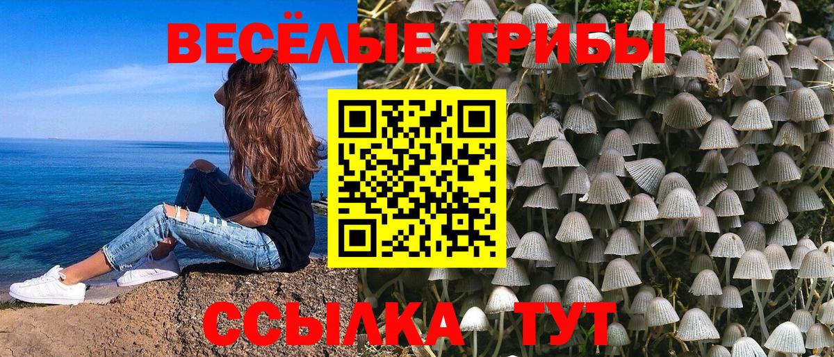 Галлюциногенные грибы GOLDEN TEACHER Нижний Новгород