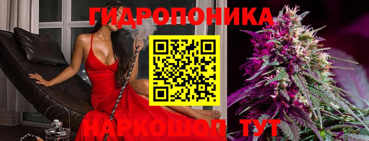 Конопля White Widow  Конопля семена  Нижний Новгород  МАРИХУАНА гибрид 